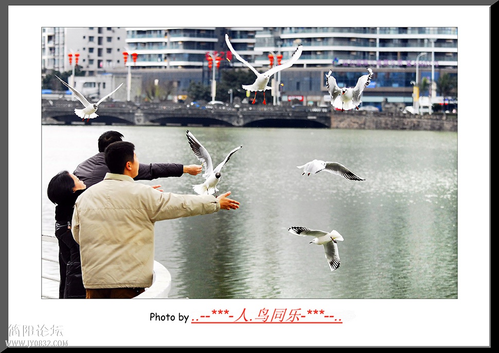 _DSC0115 0副本.jpg