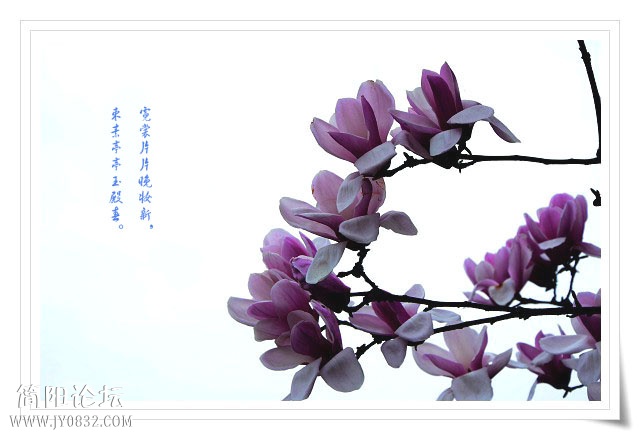 01副本.jpg
