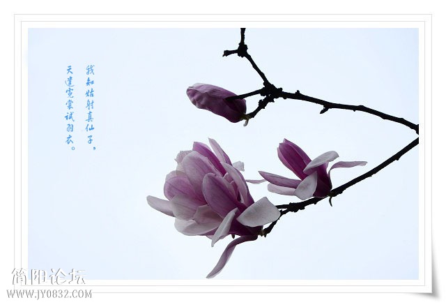 02副本.jpg