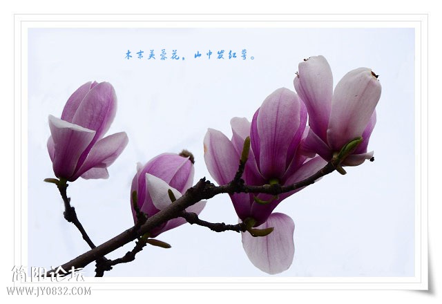 03副本.jpg