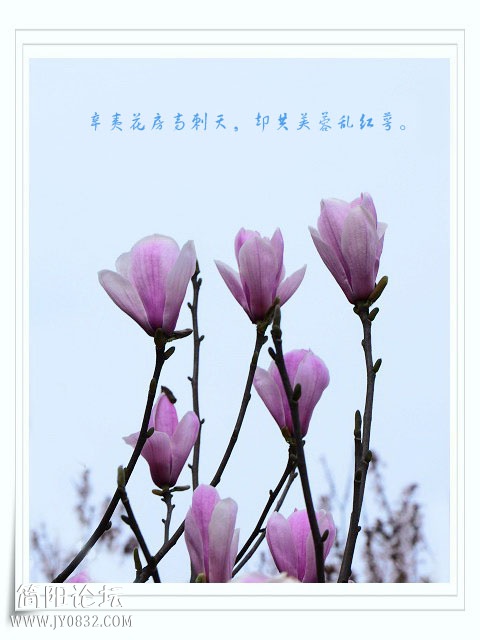 04副本.jpg