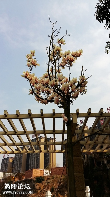 20150311_103156.jpg