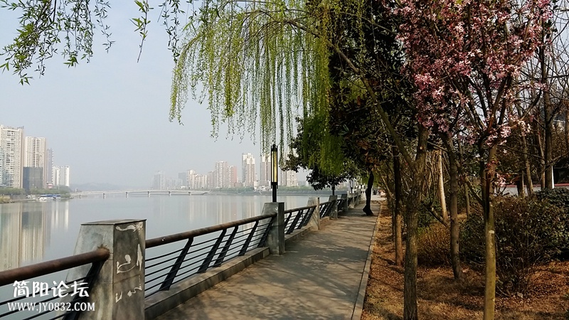 20150311_103748.jpg