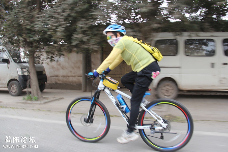 IMG_4339.jpg