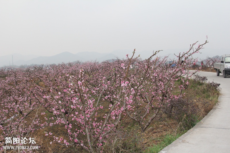 IMG_4686.jpg