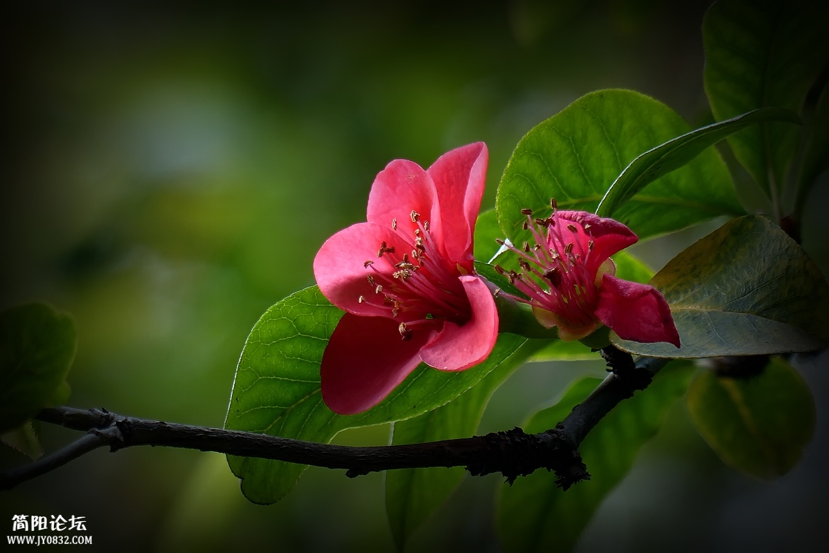 P1580308_副本.jpg