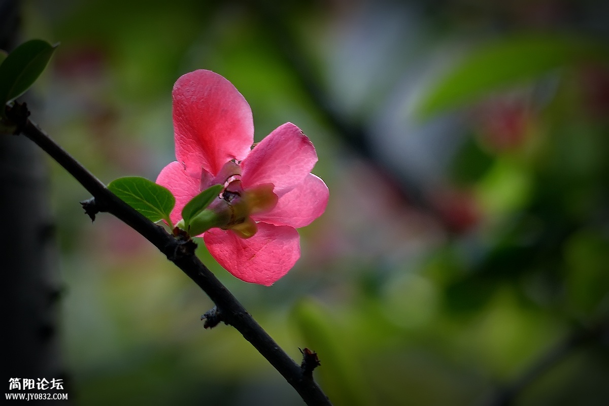 P1580311_副本.jpg