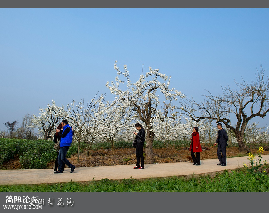 春游梨花沟03.jpg