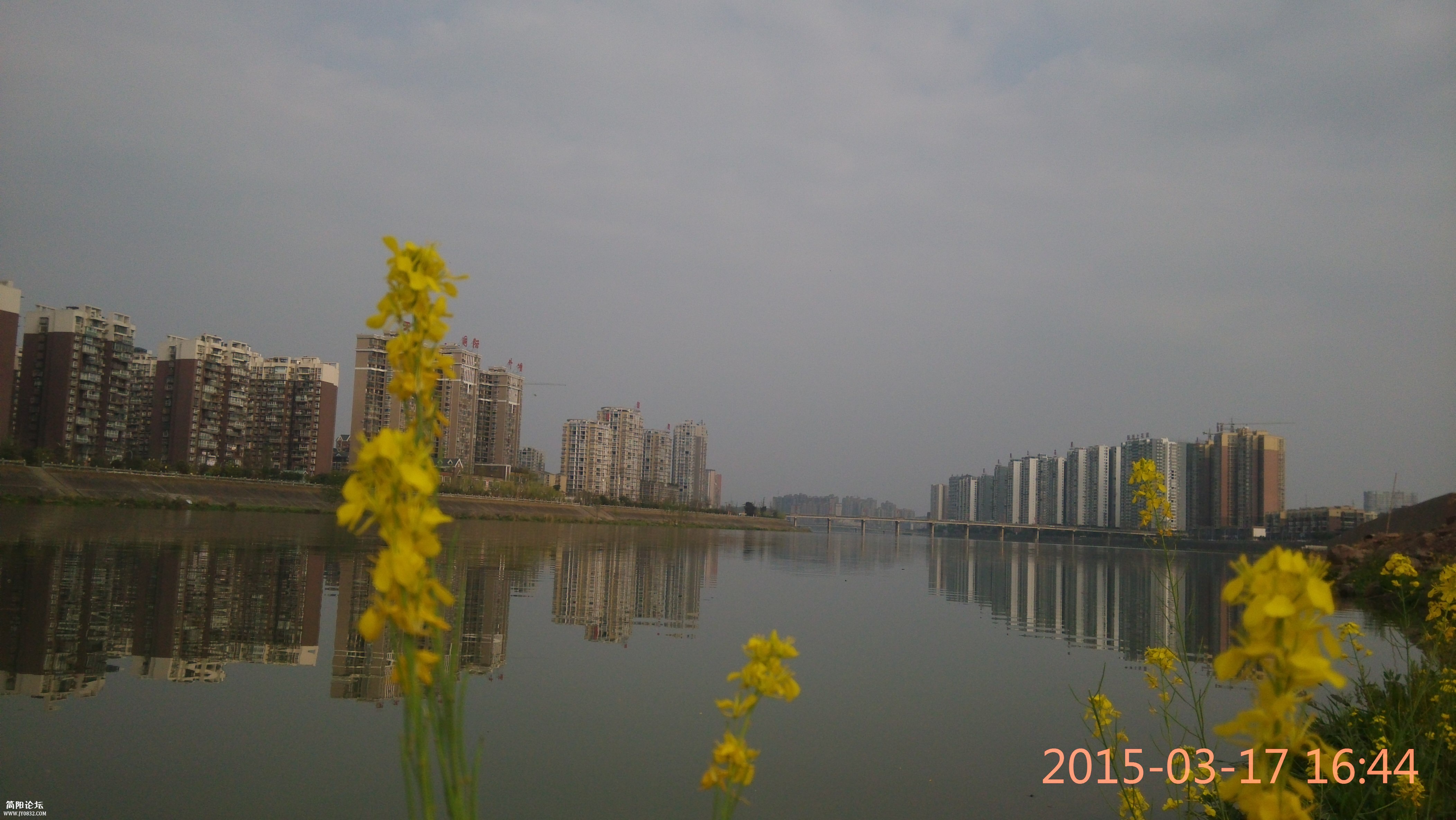IMG_20150317_164438.jpg