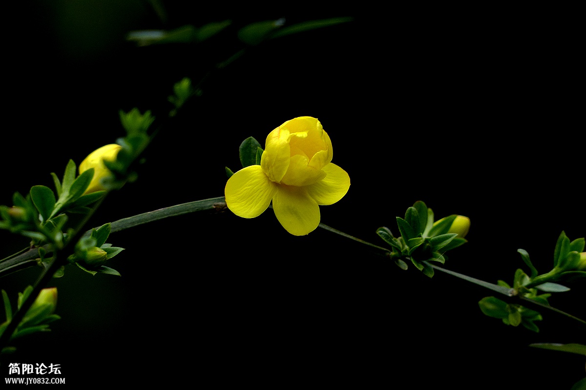 P1580219_副本.jpg