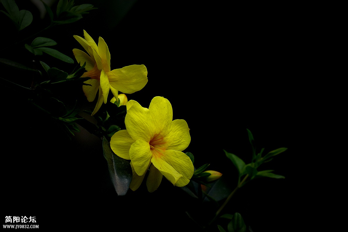 P1580229_副本.jpg