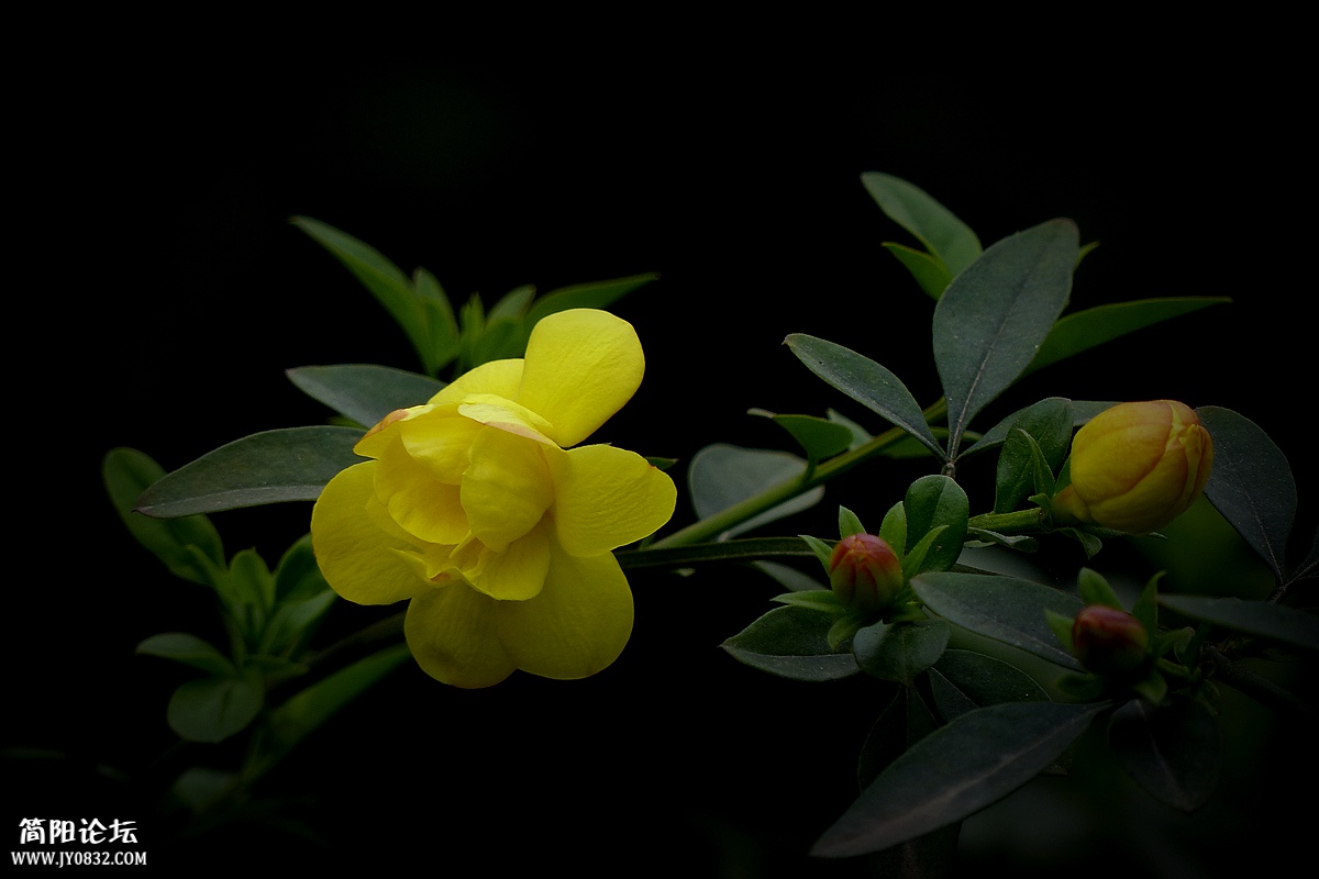 P1580236_副本.jpg