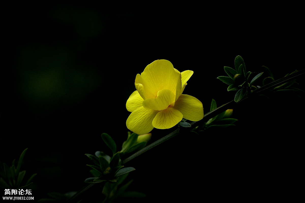 P1580224_副本.jpg