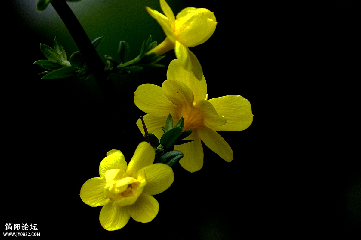 P1580225_副本.jpg