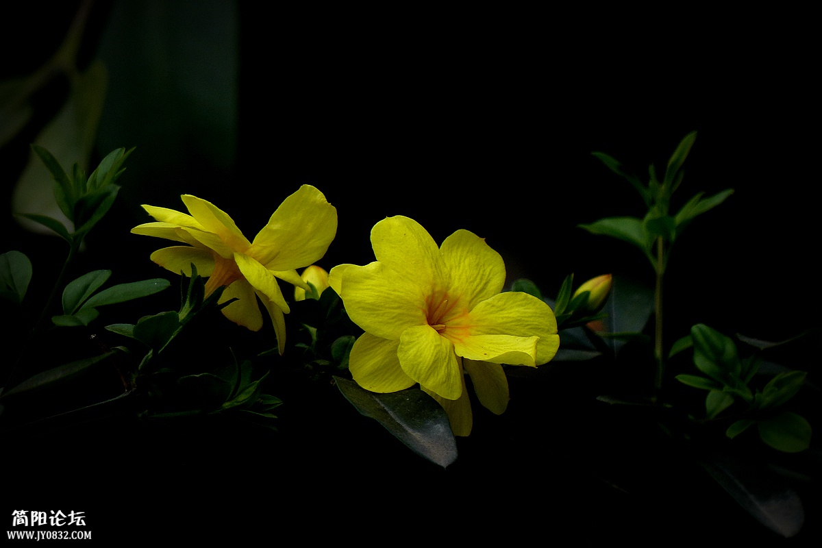 P1580228_副本.jpg