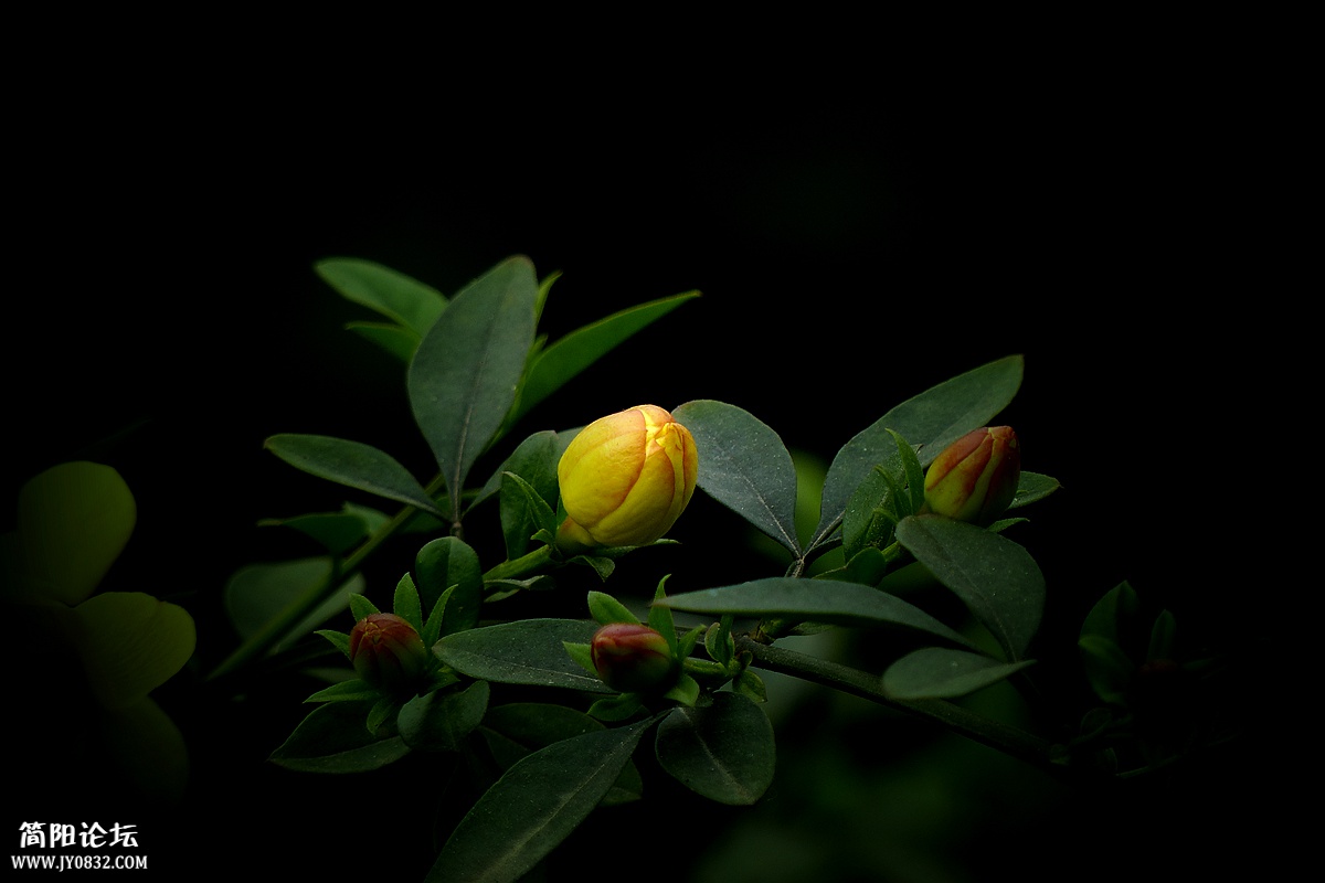 P1580235_副本.jpg