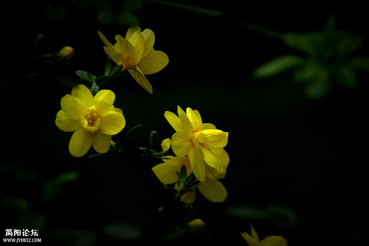 P1580227_副本.jpg