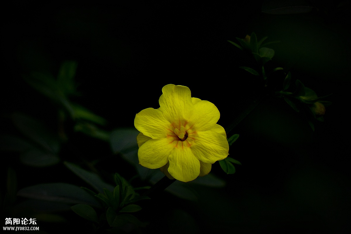 P1580230_副本.jpg