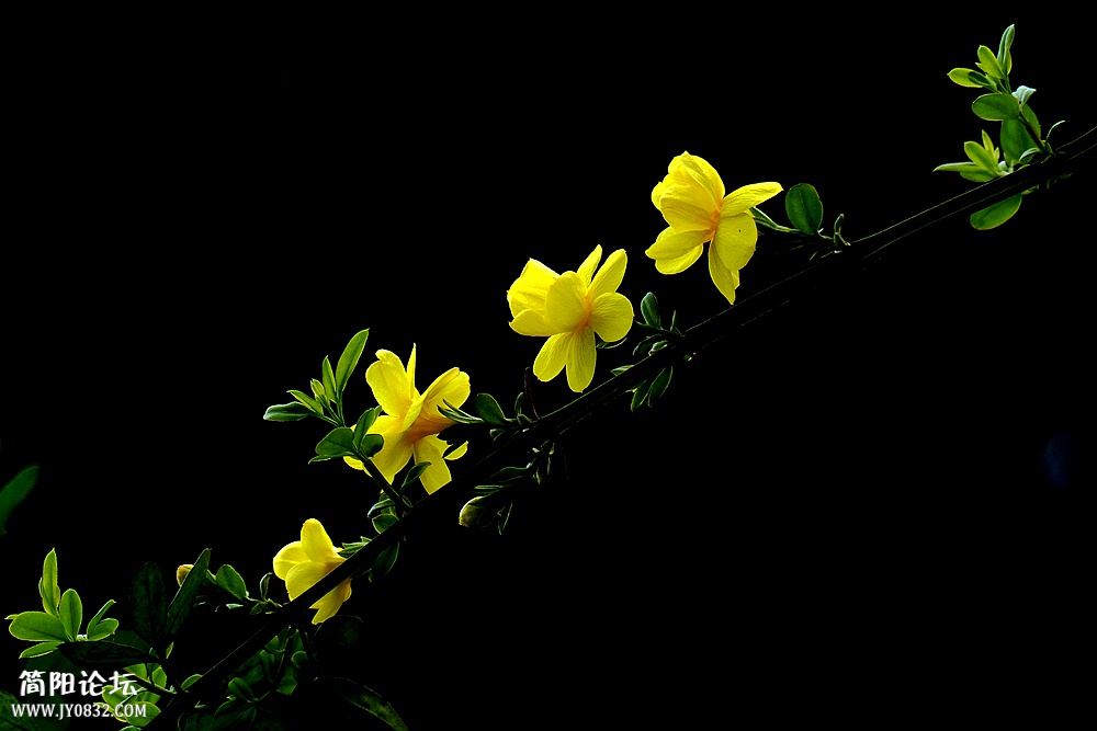 P1580202_副本.jpg