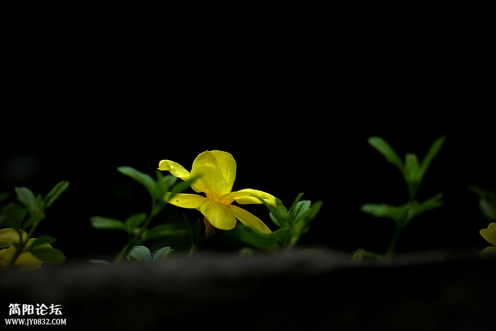 P1580213_副本.jpg