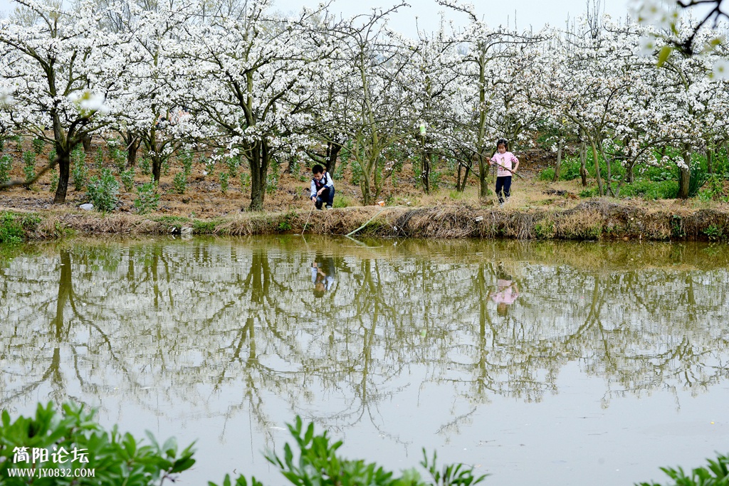 游乐梨花沟 (8).jpg