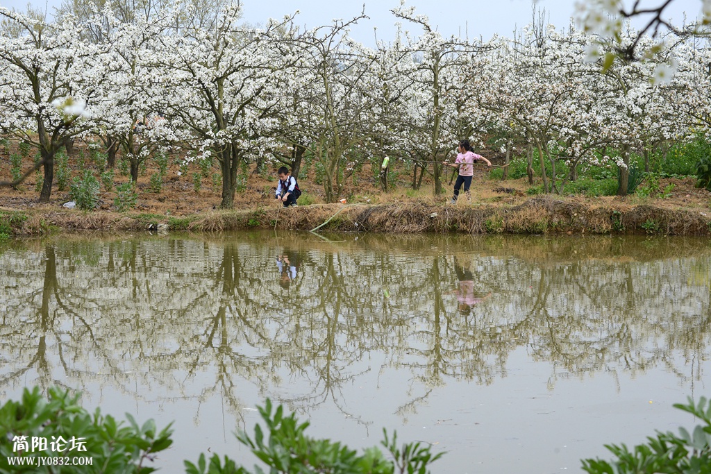 游乐梨花沟 (9).jpg