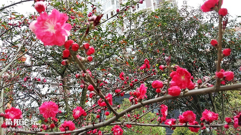 20150318_085250.jpg