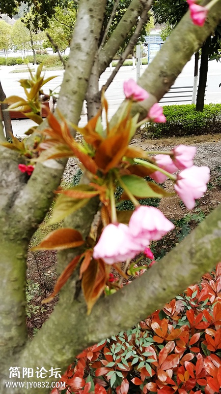 20150318_091331.jpg