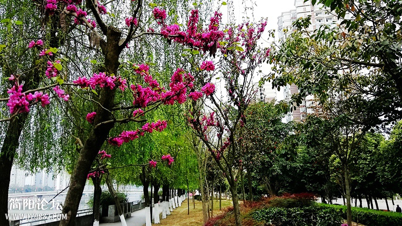 20150318_091447.jpg