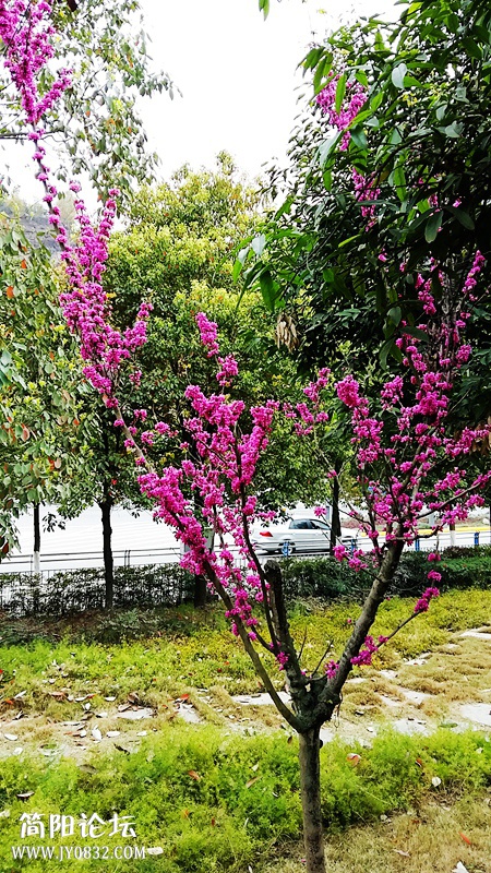 20150318_091600.jpg