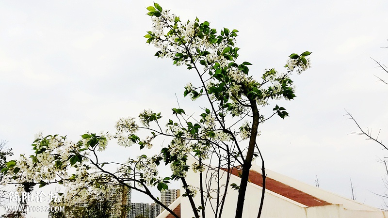 20150318_093315.jpg