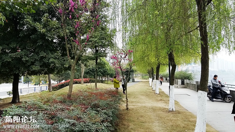 20150315_110339.jpg