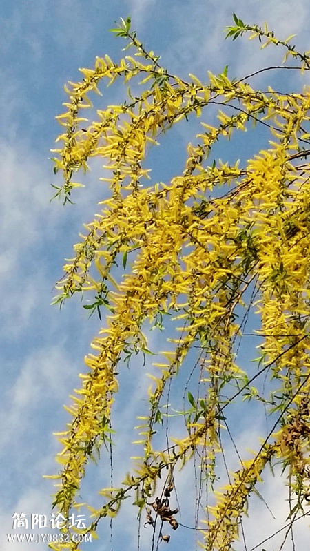 20150320_100140.jpg
