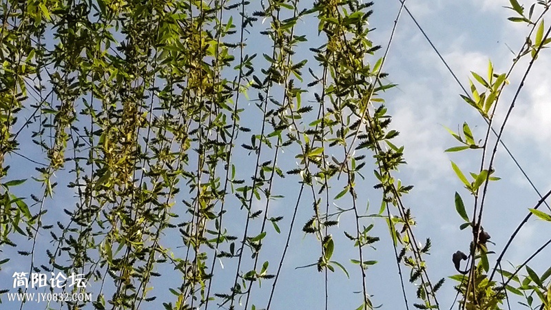 20150320_100333.jpg