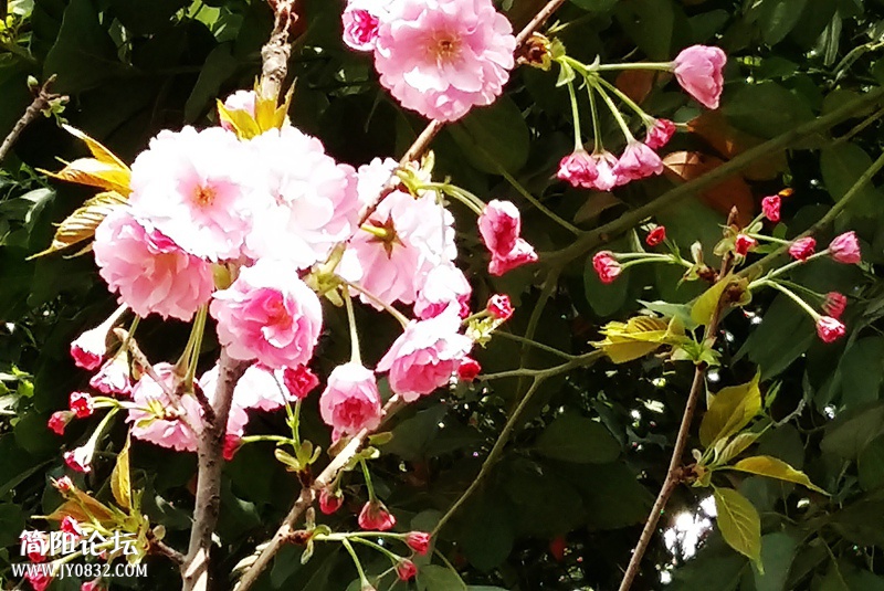 20150320_095112.jpg
