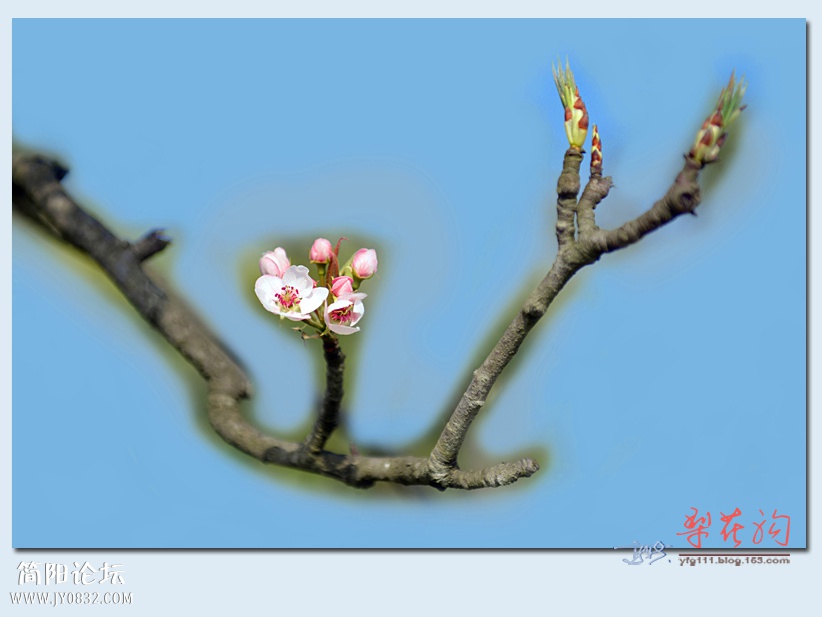 梨花沟（一）——06.jpg