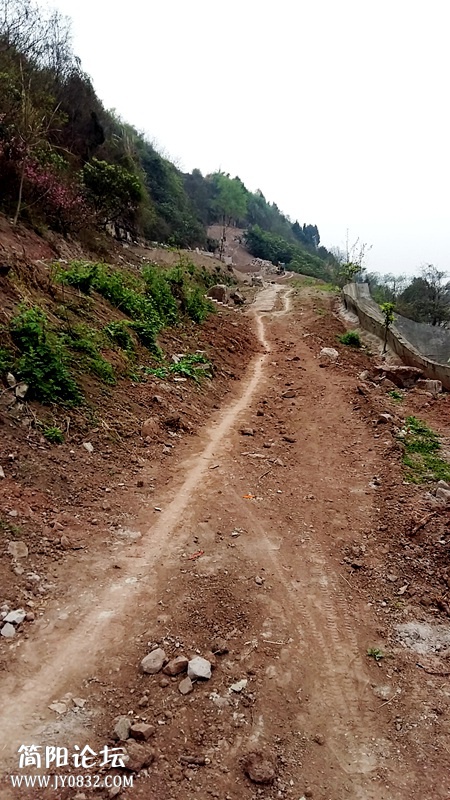 20150322_090314.jpg