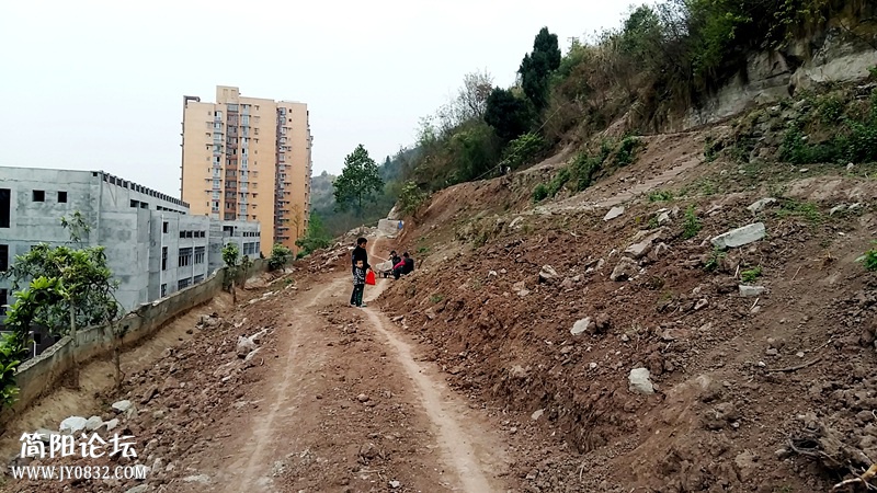 20150322_090332.jpg