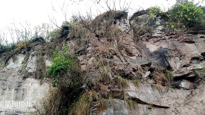 20150322_091755.jpg