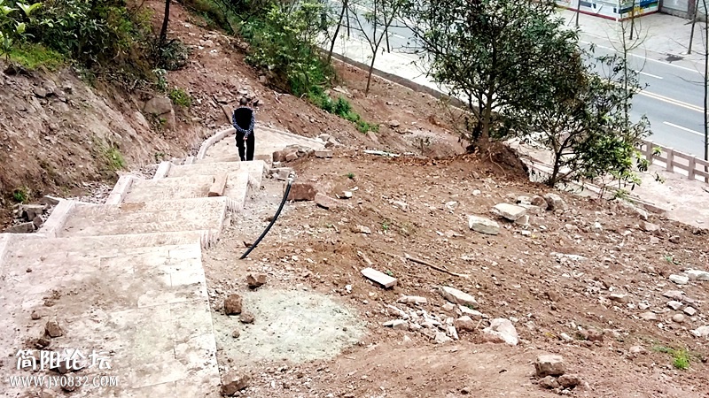 20150322_100449.jpg