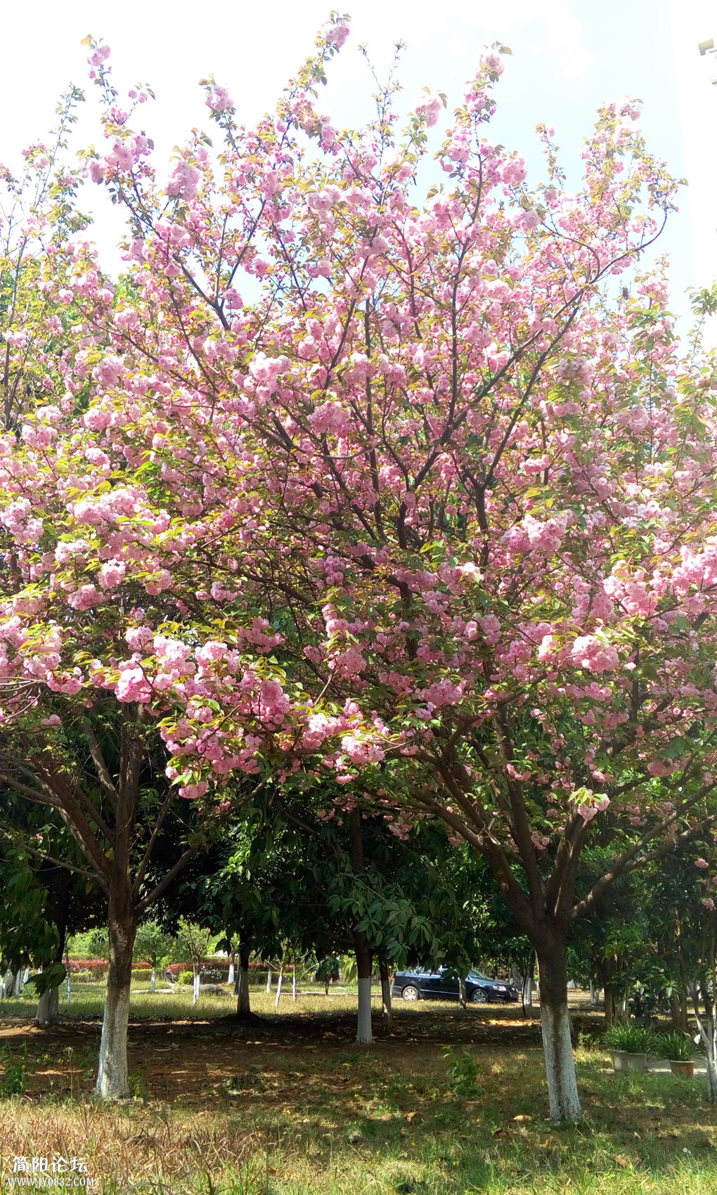 P50325-144618_副本.jpg