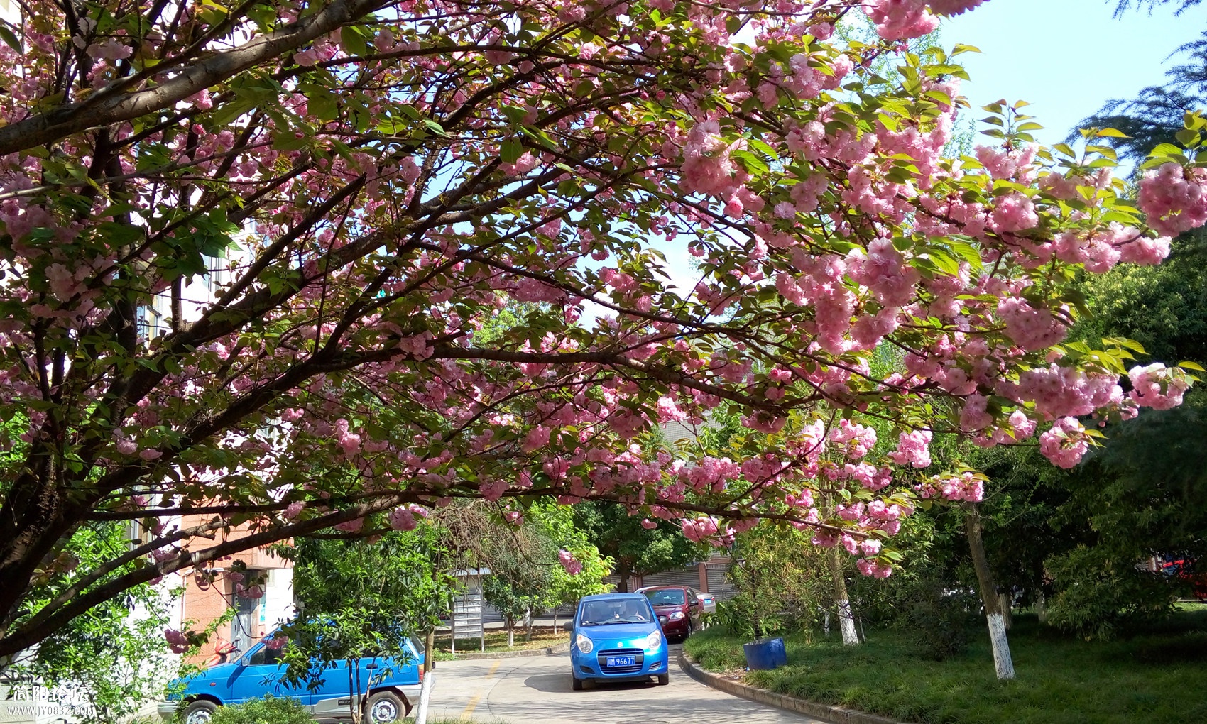 P50325-152408_副本.jpg