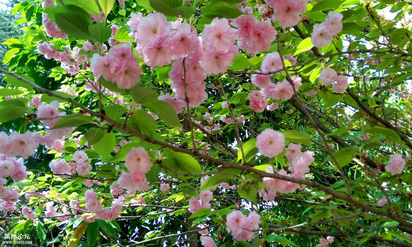 P50325-152422_副本.jpg