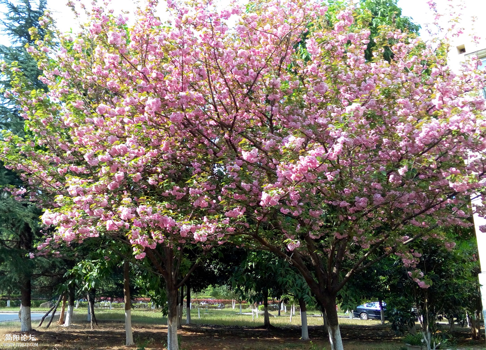 P50325-153118_副本.jpg