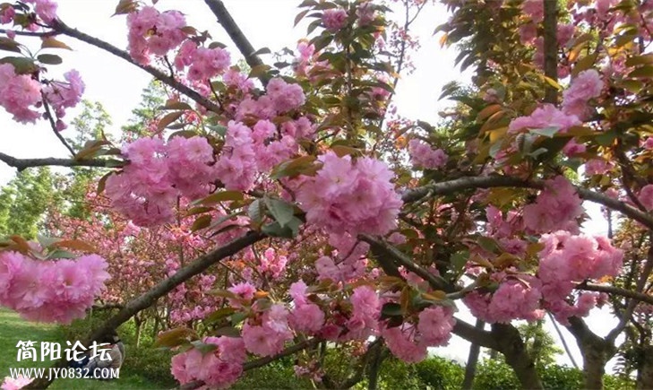 psb (14)_副本.jpg