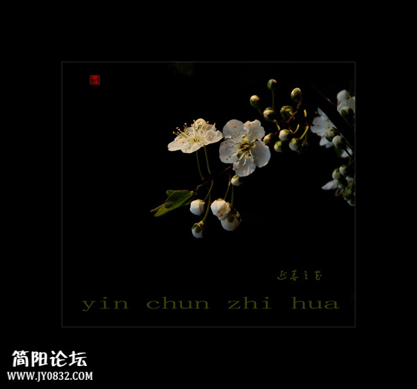 DSC00348b_副本0.jpg