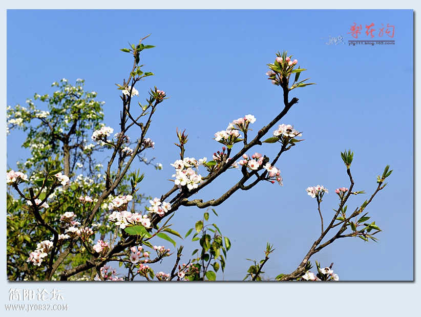 梨花沟（二）——06.jpg