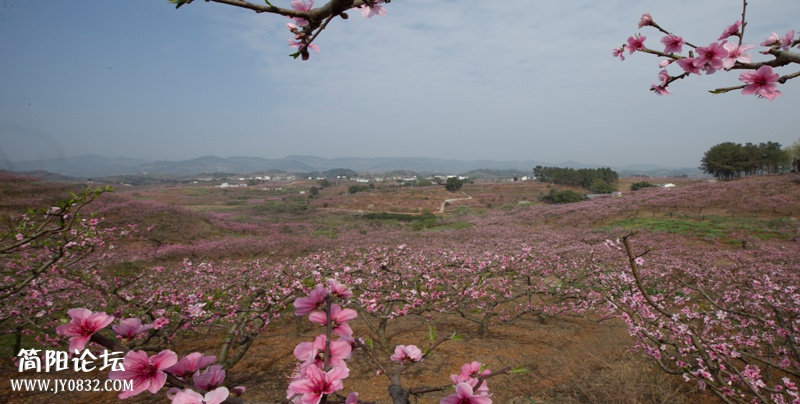 桃花故里-1-1-wl.jpg