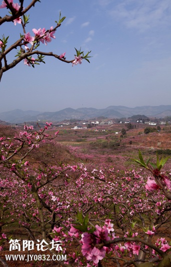桃花故里-2-1-wl.jpg