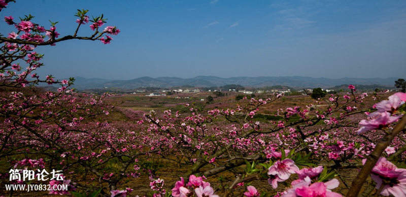 桃花故里-3-1-wl.jpg